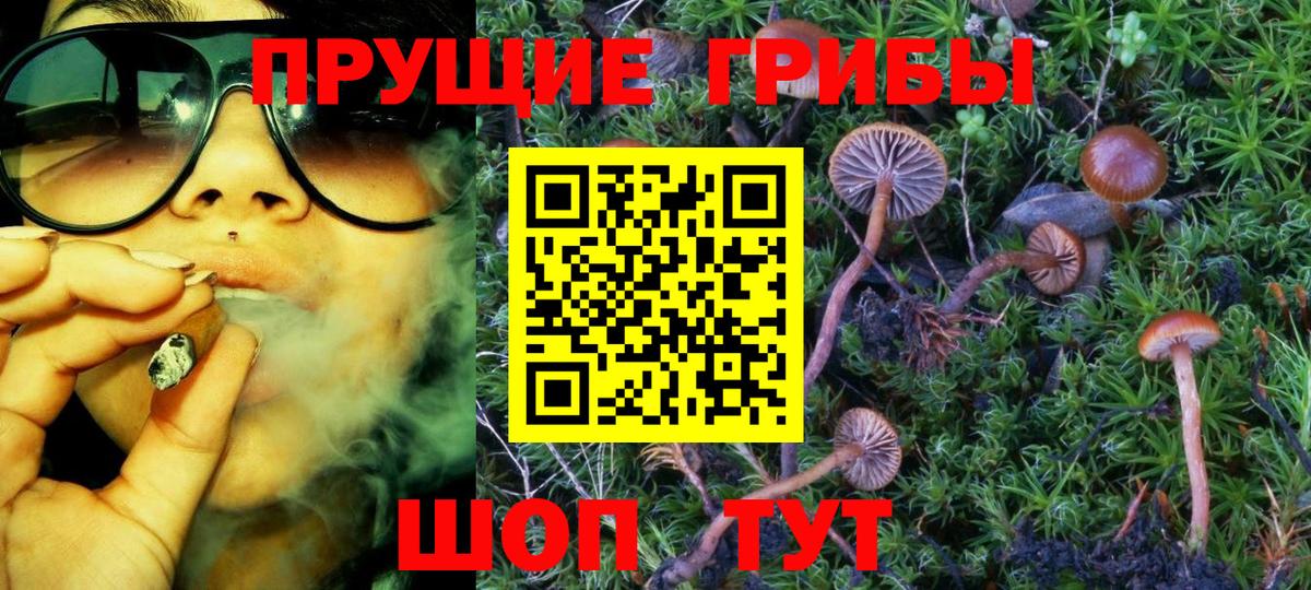 Галлюциногенные грибы мицелий Ярцево