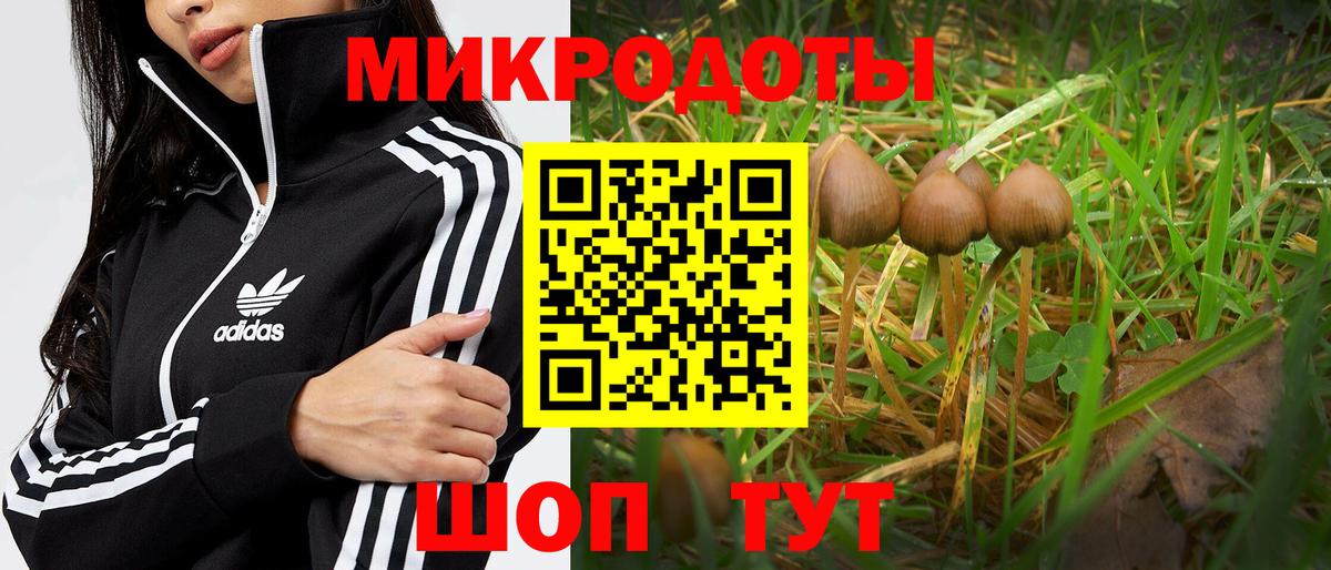 Галлюциногенные грибы Psilocybe  Вход с VPN  Галлюциногенные грибы MAGIC MUSHROOMS  Ярцево 