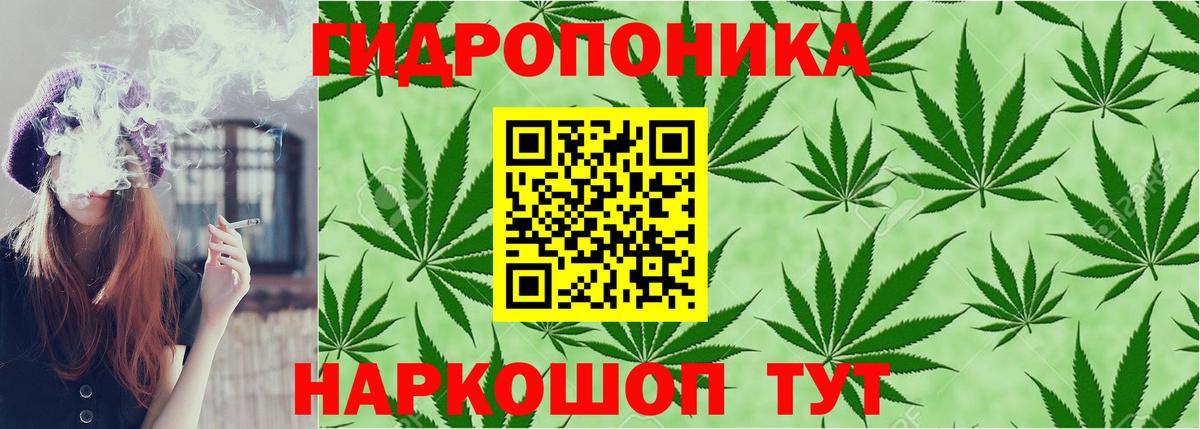Каннабис ГИДРОПОН  Канабис планчик  Шишки марихуана тримм  Ярцево  Вход с VPN 